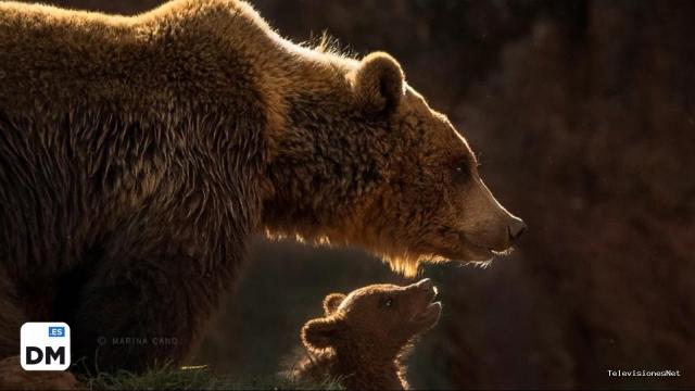 El Diario Montañés | April 12, 2017 | Marina Cano, una fotógrafa cántabra portada de National Geographic