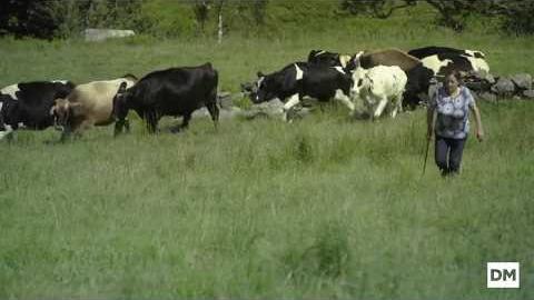 El Diario Montañés | July 19, 2017 | Quesería Los Tiemblos, Premio al mejor Producto Ecológico