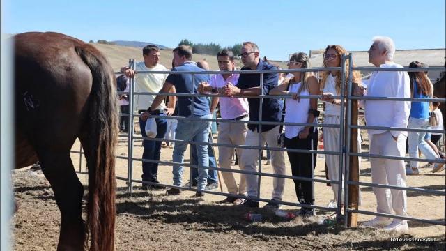 Cantabria Televisión | September 21, 2026 | 3000 cabezas de ganado de 150 ganaderías participan en la feria de San Mateo de Reinosa